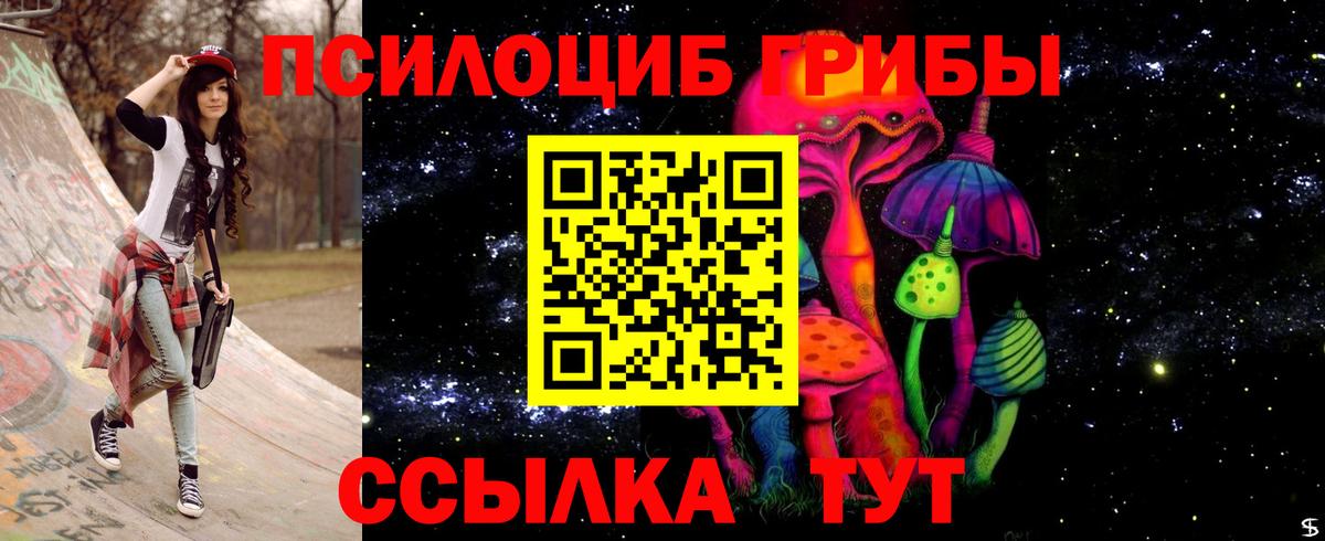 Псилоцибиновые грибы MAGIC MUSHROOMS  Вход с VPN  Бутурлиновка 